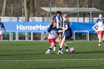 Bild 367 - wBJ Hamburger SV - Hertha BSC : Ergebnis: 2:1